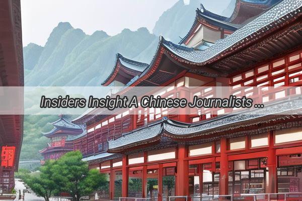 Insiders Insight A Chinese Journalists Unfiltered Experience in the Korean Variety Show World